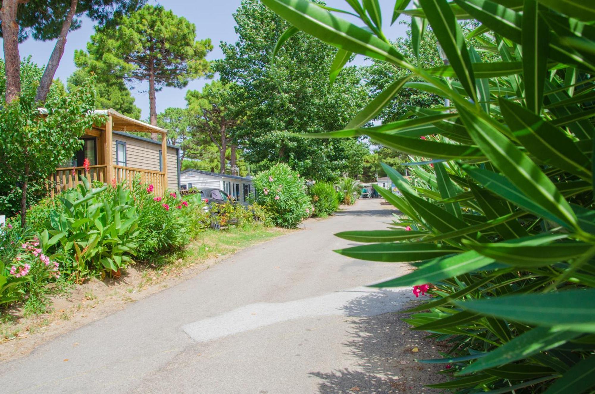Les Jardins D Agathe * Le Grau-dʼAgde